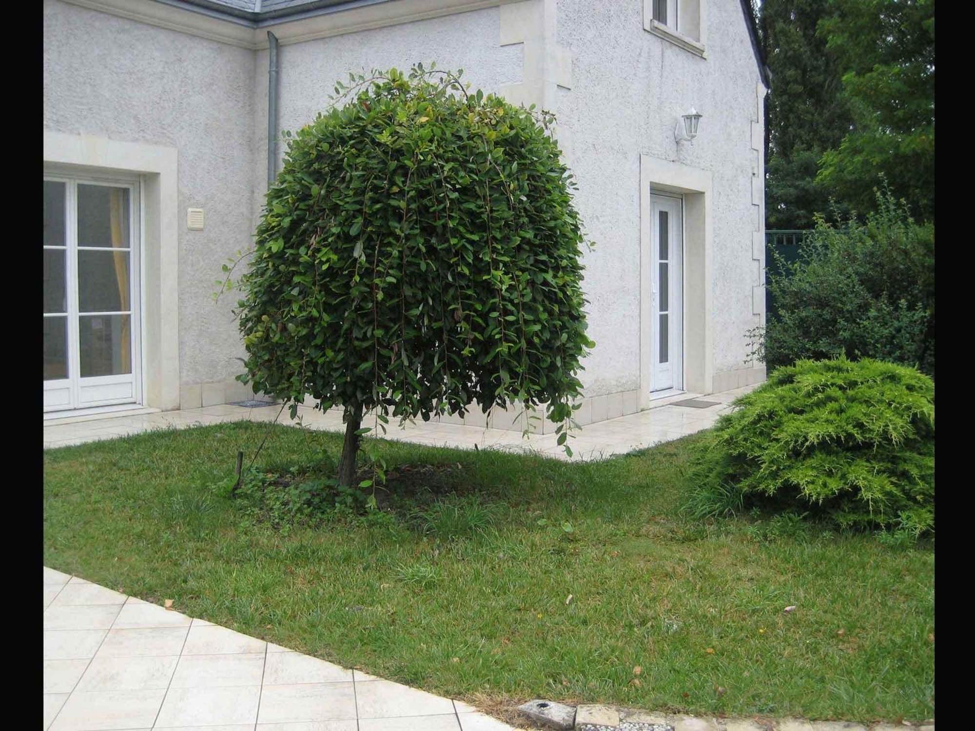 Appartement Les Agapanthes La Riche Extérieur photo